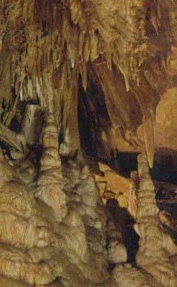 Mamut-Barlang Nemzeti Park, Kentucky Képeslap